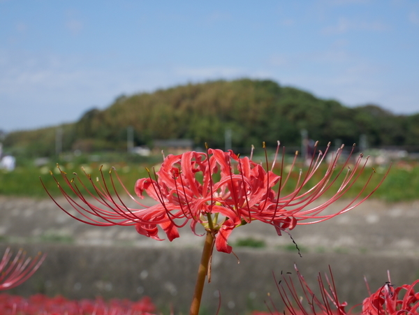 f:id:gzutetsu:20180923124922j:image