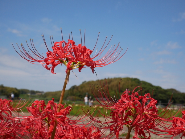 f:id:gzutetsu:20180923124946j:image