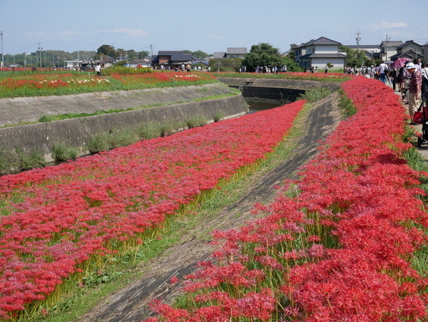 f:id:gzutetsu:20180923125006j:image