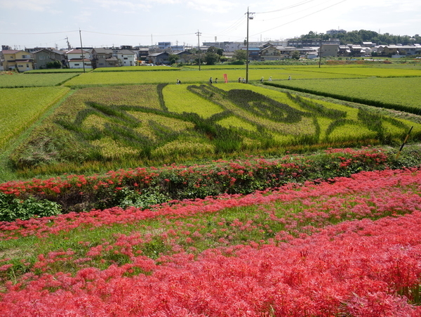 f:id:gzutetsu:20180923131752j:image