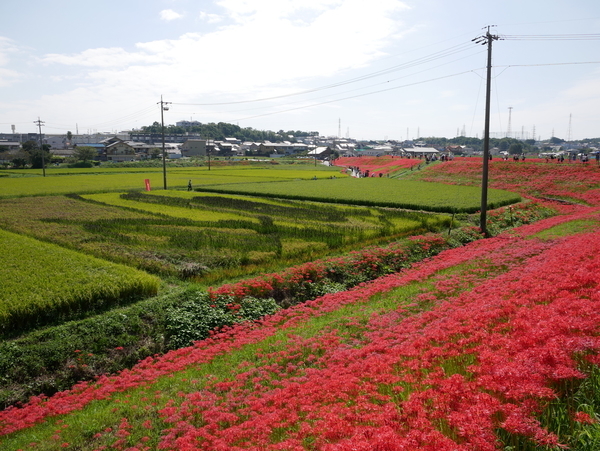 f:id:gzutetsu:20180923131900j:image