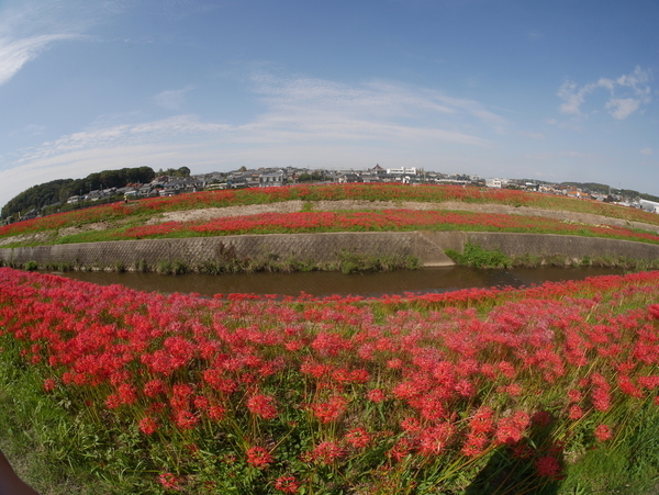 f:id:gzutetsu:20180923132519j:image