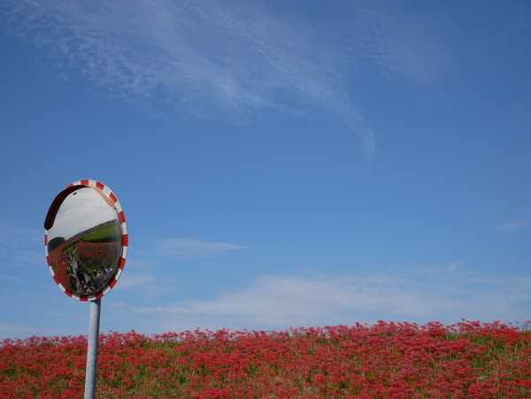 f:id:gzutetsu:20180923133726j:image