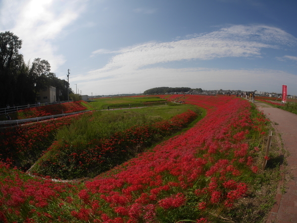 f:id:gzutetsu:20180923134319j:image