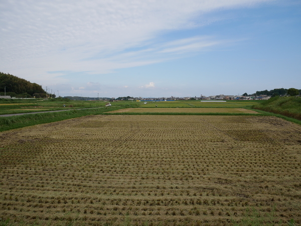 f:id:gzutetsu:20180923150806j:image