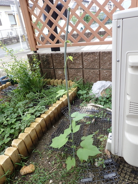 f:id:gzutetsu:20180930110525j:image