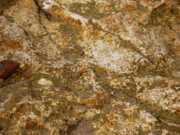 f:id:gzutetsu:20181013114121j:image