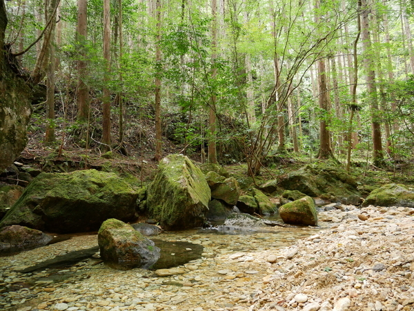 f:id:gzutetsu:20181013134030j:image