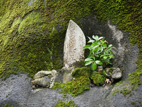 f:id:gzutetsu:20181014094709j:image f:id:gzutetsu:20181014094709j:image