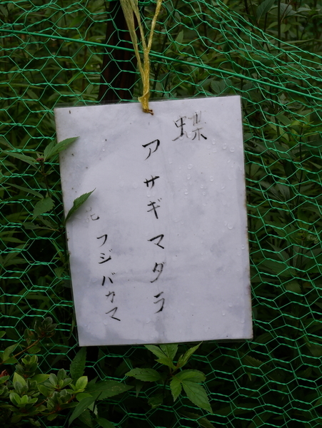 f:id:gzutetsu:20181014124900j:image f:id:gzutetsu:20181014124900j:image