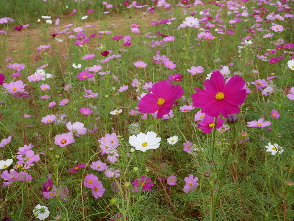 f:id:gzutetsu:20181014135555j:image f:id:gzutetsu:20181014135555j:image