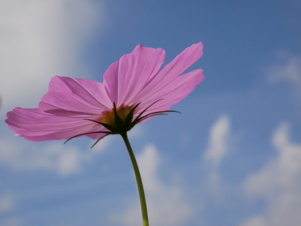 f:id:gzutetsu:20181014141304j:image f:id:gzutetsu:20181014141304j:image