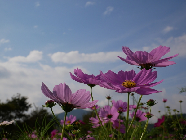 f:id:gzutetsu:20181014141717j:image f:id:gzutetsu:20181014141717j:image