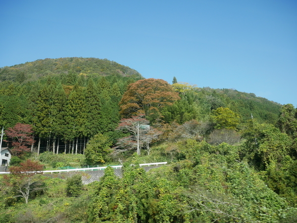 f:id:gzutetsu:20181105102046j:image