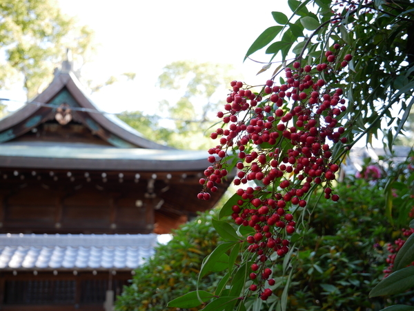 f:id:gzutetsu:20190101111332j:image