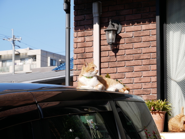 f:id:gzutetsu:20190101111848j:image