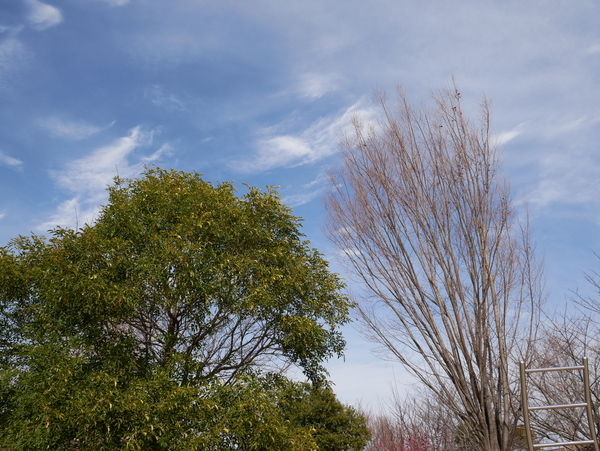 f:id:gzutetsu:20190210141229j:image