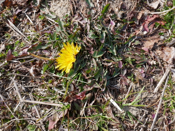 f:id:gzutetsu:20190210141809j:image
