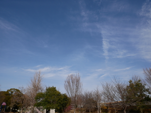 f:id:gzutetsu:20190210142056j:image