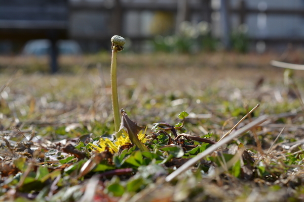 f:id:gzutetsu:20190210143433j:image