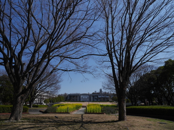 f:id:gzutetsu:20190302125920j:image