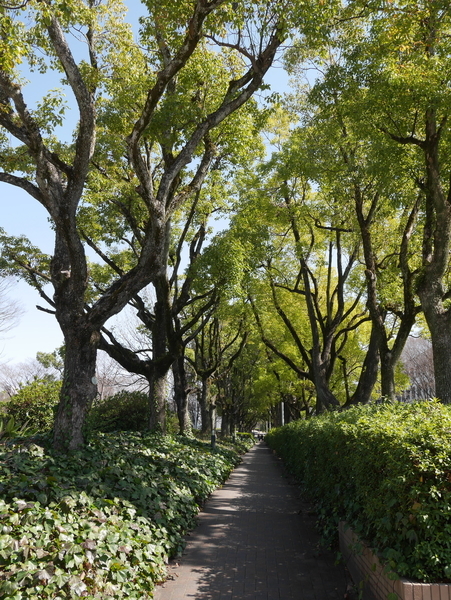 f:id:gzutetsu:20190302132312j:image