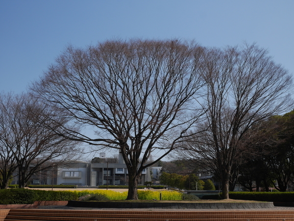 f:id:gzutetsu:20190302133326j:image