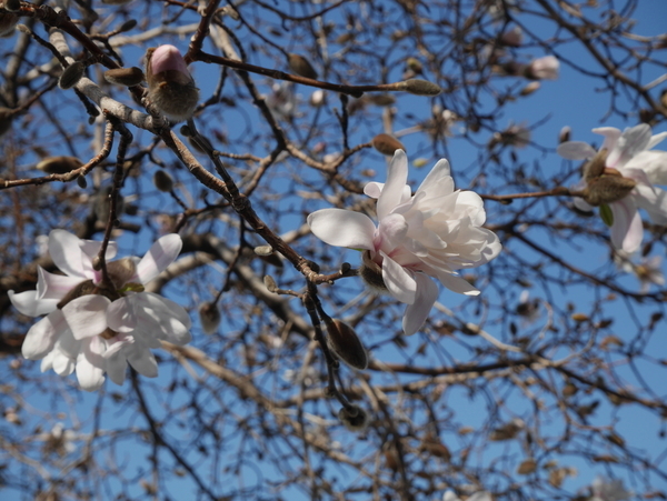 f:id:gzutetsu:20190320083505j:plain