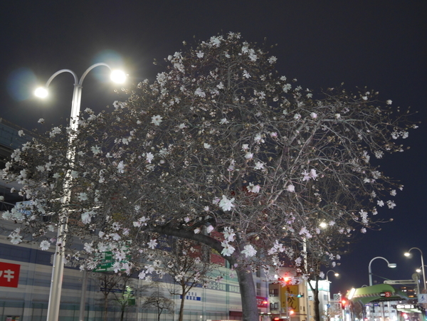 f:id:gzutetsu:20190320213223j:plain