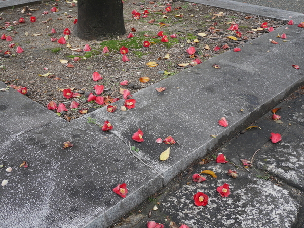 f:id:gzutetsu:20190321163642j:plain