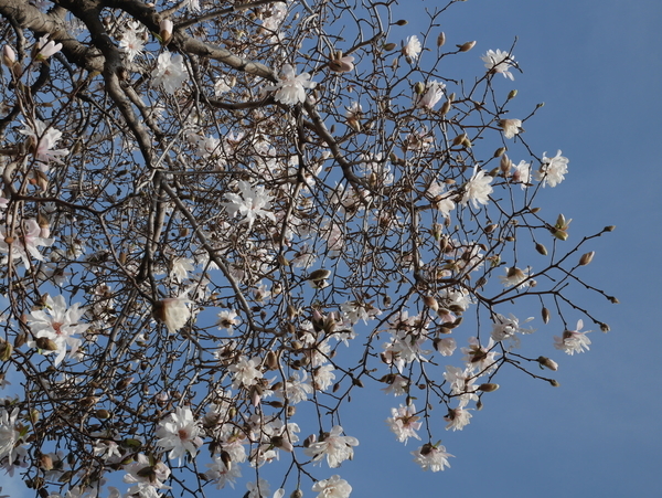 f:id:gzutetsu:20190322083021j:plain