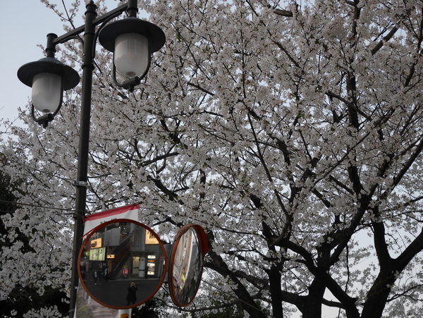 f:id:gzutetsu:20190326174819j:plain