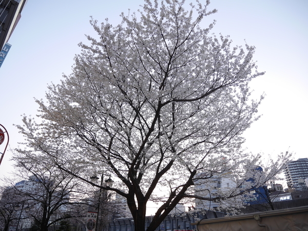 f:id:gzutetsu:20190326174845j:plain