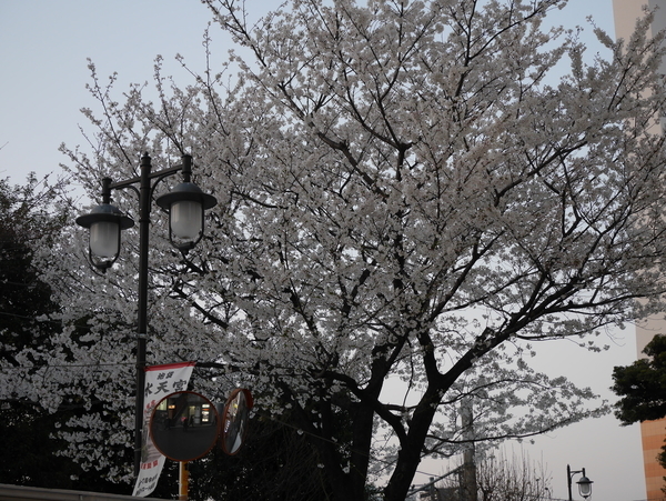 f:id:gzutetsu:20190326175001j:plain