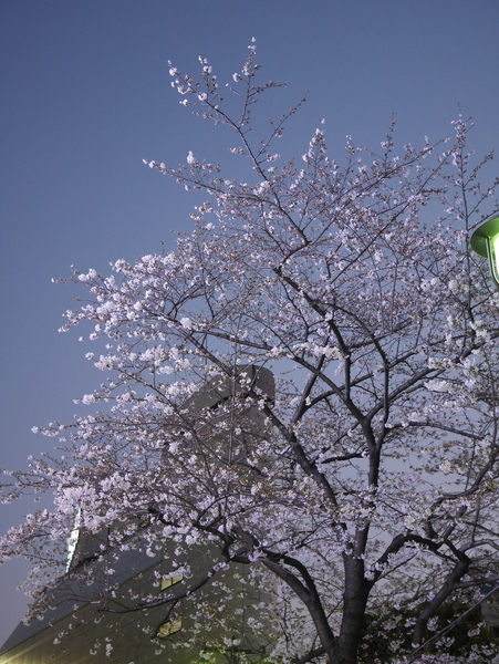 f:id:gzutetsu:20190326181656j:plain