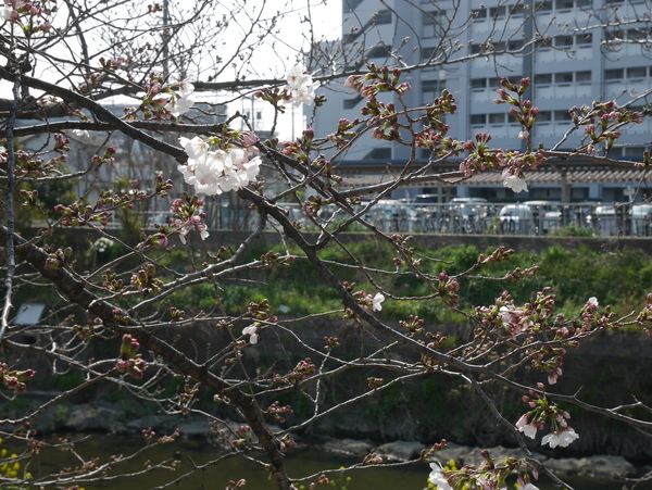 f:id:gzutetsu:20190327091743j:plain