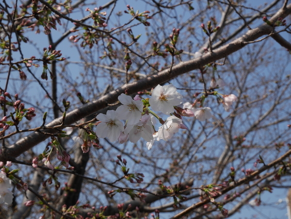 f:id:gzutetsu:20190327091814j:plain