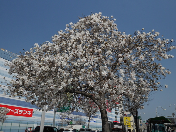 f:id:gzutetsu:20190327093531j:image