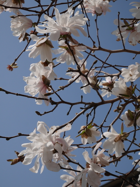 f:id:gzutetsu:20190327093630j:plain