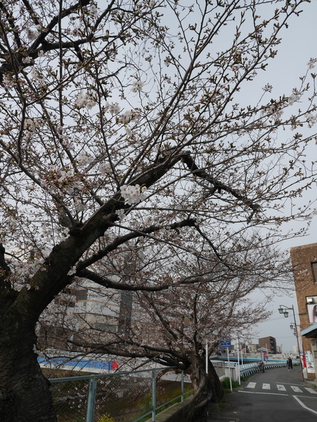 f:id:gzutetsu:20190329081815j:plain