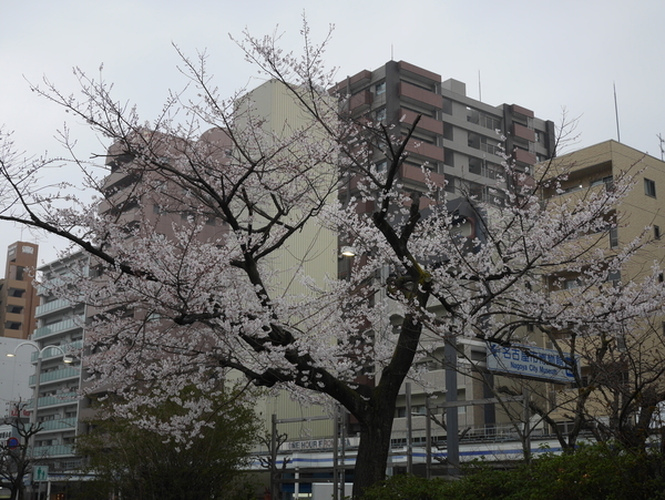 f:id:gzutetsu:20190330145044j:plain
