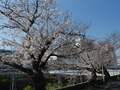 20190404081748
