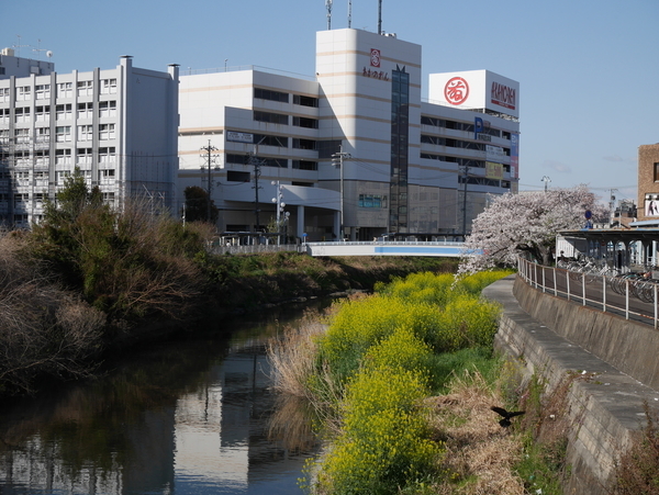 f:id:gzutetsu:20190409081248j:plain