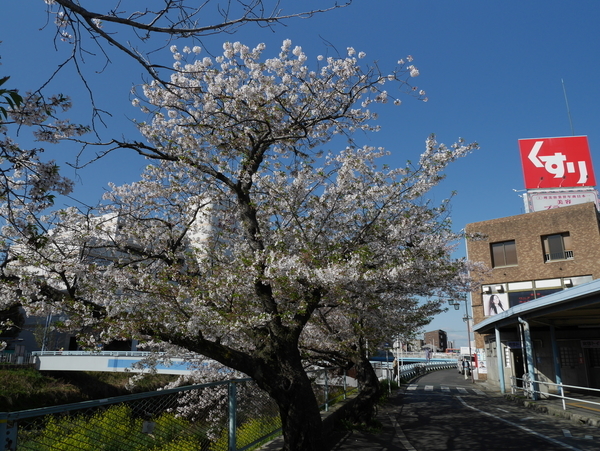 f:id:gzutetsu:20190409081636j:plain