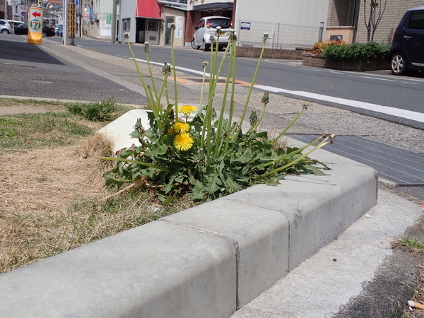 f:id:gzutetsu:20190420125246j:image