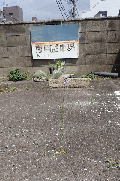 f:id:gzutetsu:20190420125405j:image