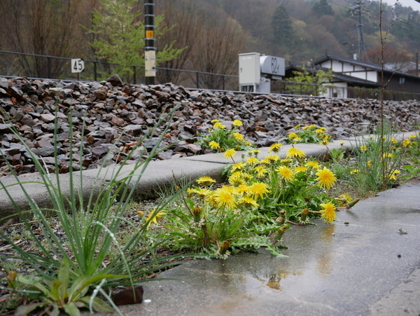 f:id:gzutetsu:20190501131543j:image f:id:gzutetsu:20190501131543j:image