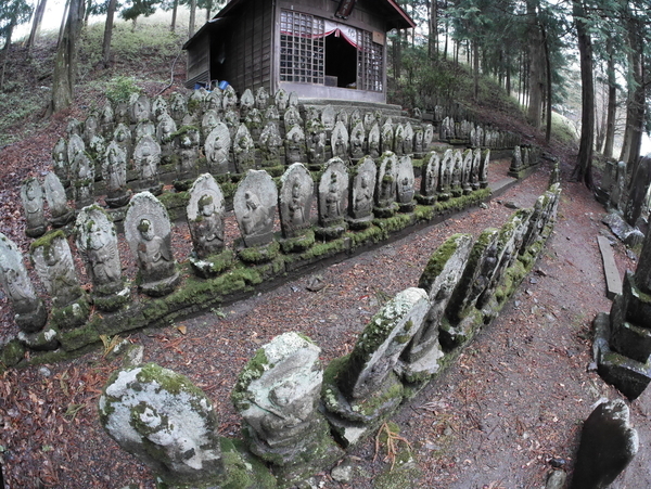 f:id:gzutetsu:20190501132405j:image f:id:gzutetsu:20190501132405j:image