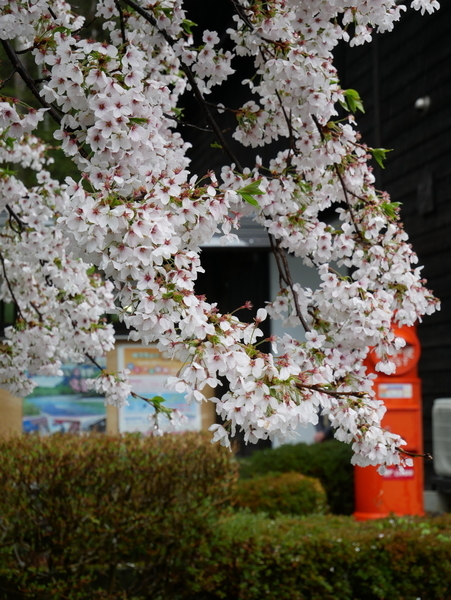 f:id:gzutetsu:20190501142957j:image f:id:gzutetsu:20190501142957j:image