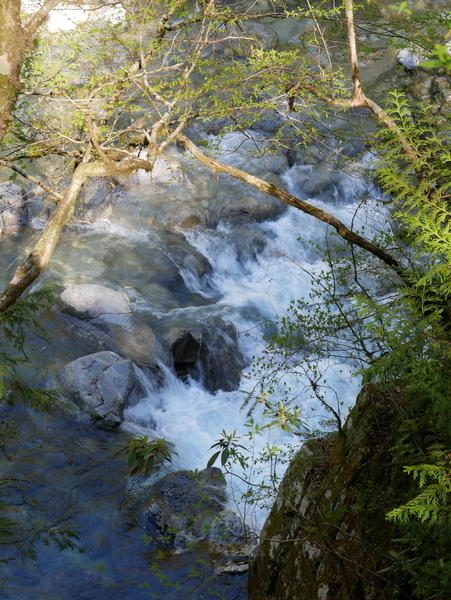 f:id:gzutetsu:20190502151747j:image